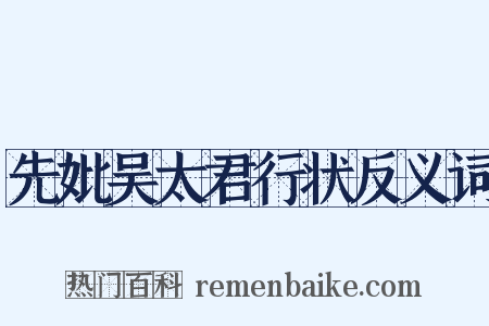 先妣吴太君行状反义词是什么意思的图片